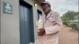 Elephant Carer, Stavros, gives orphaned elephant Khanyisa her morning milk bottle