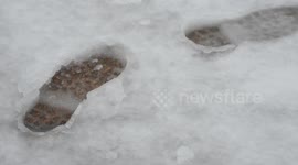 Winter Storm 'Izzy' Strikes the East Coast in Nashville, TN, USA