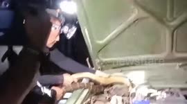Huge cobra caught curled up inside car engine in Thailand