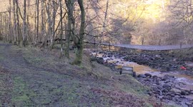 A man has died after a vehicle and trailer fell into river when a bridge collapsed.