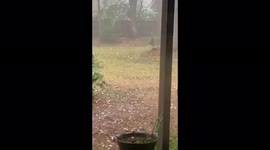 Severe thunderstorm slams East Texas with heavy hail