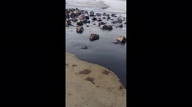 Peru oil spill after Tonga eruption an 'ecological disaster,' foreign ministry says