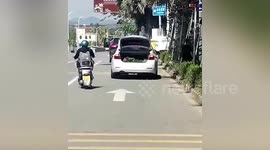 Woman detained after stealing plants from roadside greenery in southern China