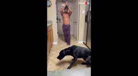 Dramatic dog has perfected the art of pretending to die