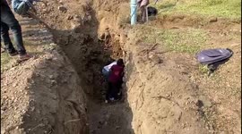 Six-hours digging as rescuers stop at nothing to save 3 new-born pups from borewell in India