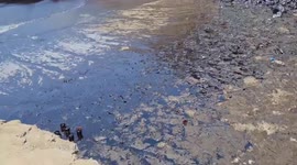 Peru beaches covered with oil after Tonga volcano causes spill