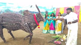 Farmer makes bulls from sugarcane as tribute