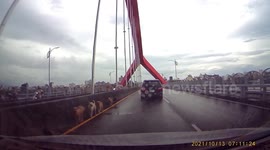 WTF MOMENT: Stray dogs casually crossing a bridge together while there’s traffic (Dashcam Video)