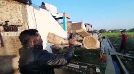 Officials recover illegal teak from forest ranges in central India