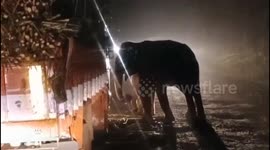 Highway robbery: Mama and baby elephant stop lorries to demand sugarcane in southern india