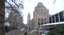 Dismantling the Natural History Museum Skating Rink in progress - South Kensington