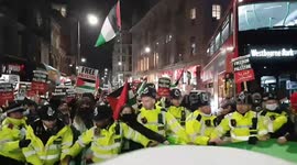 Pro-Palestine activists in London and police play tug-of-war with flag as protesters invade road over Sheikh Jerrah evictions