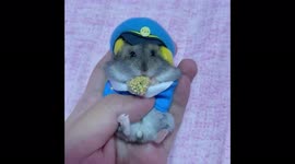 Adorable hamster dressed as security guard