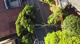 Neighbourhoods without power after trees fall in heavy rains in Sao Paulo, Brazil