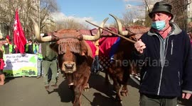 El sector del campo se manifiesta