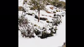 Greece: Mykonos And Cyclades Islands Blanketed With Snow 2