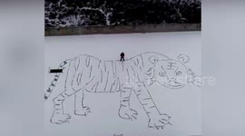 Man creates giant tiger out of snow to welcome Chinese New Year