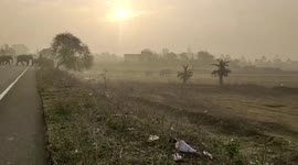 Herd of elephants walk across road in eastern India