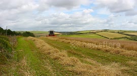 Combine harvester working the land in porth, cornwall, today