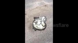 Chemical material of Tianjin blasts found reacting with water