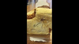 Man finds spider in his pulled pork sandwich