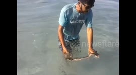 COBRA PEGAR ONDA NA PRAIA DO RIO DE JANEIRO.