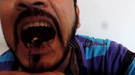 HOMEM COLOCA TRÊS ARANHAS VENENOSAS DENTRO DA BOCA.