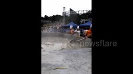 colossal soup shares for tourists