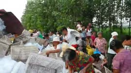 Chinese villagers scramble for pears after truck crash