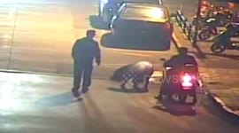 Pig on the loose in China before spending night in custody