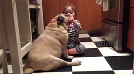 Little girl thoroughly disgusted by inside of pug's mouth