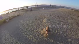 Dog chases drone across San Diego beach