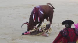 Bullfighter gored and injuried in Spain