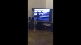 Wiggles watching TV Part 2