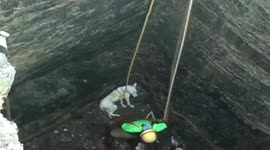 Scared and hungry dog rescued after 72 long hours by kind-hearted rescuers in India