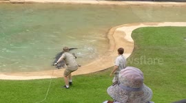 Meet the Urwins doing what they do best... a crocodile show at Australia Zoo