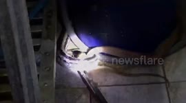 Shocked Thai woman finds snake swimming in her toilet bowl