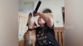 Dog impresses with 'singing' voice
