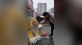 Father and son create tiger out of snow ahead of Chinese New Year
