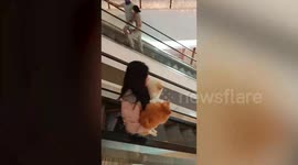Two adorable pet dogs afraid of the escalator had to be carried inside a mall