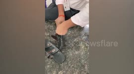Air customs officials recover 8 gold coins from passenger's footwear in southern India