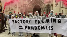 Animal right activists protest against factory farming outside the Royal Courts of Justice in London