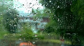 Driving in rainy day in May at Norwalk, CT on West Cedar Street view from front window cowered with rain drops