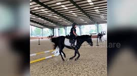 Meet the girl who began competitive horse-riding when she was just FOUR YEARS OLD
