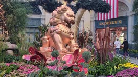 The Lunar New Year at the Belagio Atrium in Las Vegas Nevada