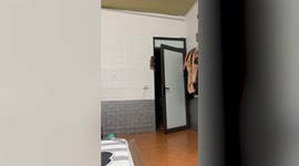Naughty kitten climbs wall and gets trapped on top