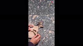 'Truro-based beach attendant tries to save a badly injured baby bunny's life '