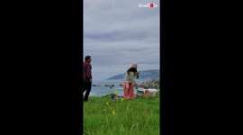 ''Best day of our lives' Picnic at Big Sur turns into SURPRISE wedding proposal '