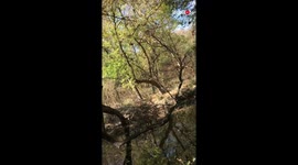 ''Hesitation will get you nowh... in the water!' Ultimate river crossing fail 
'