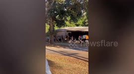 Hungry wild elephant rampages through home and attacks car